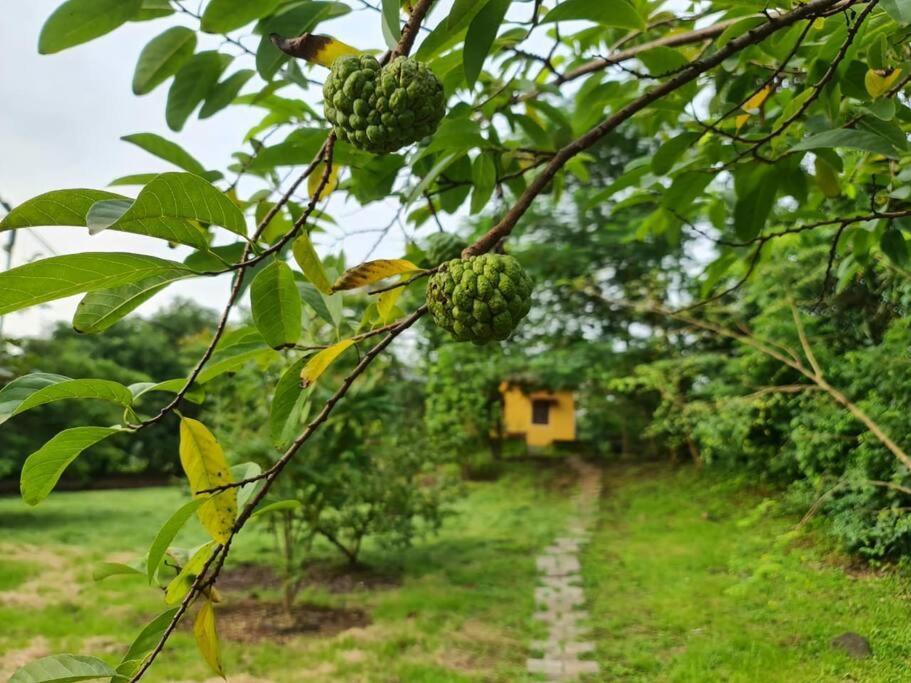 Sohana Eco Retreat Farmhouse - Karjat Chinchavli Екстериор снимка